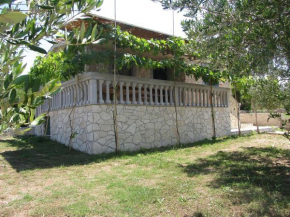 House Marta